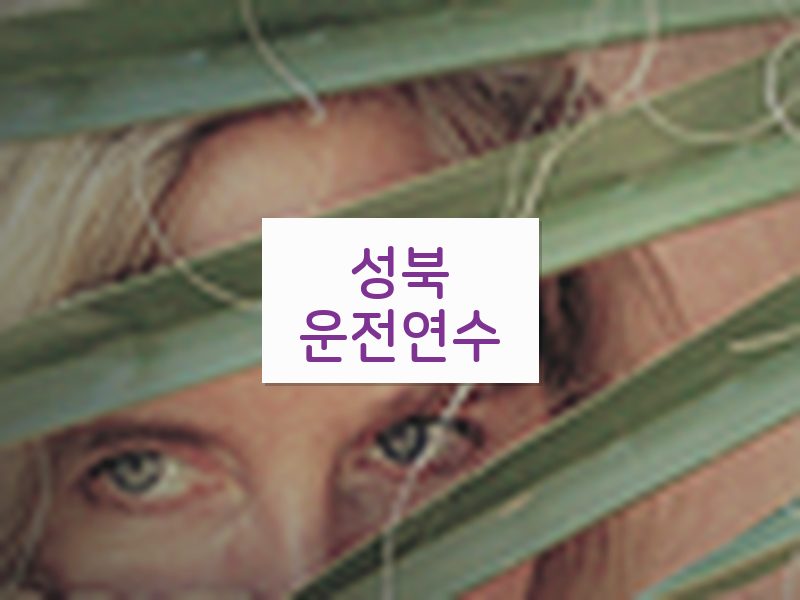 성북운전연수 후기