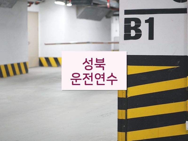 성북운전연수 후기