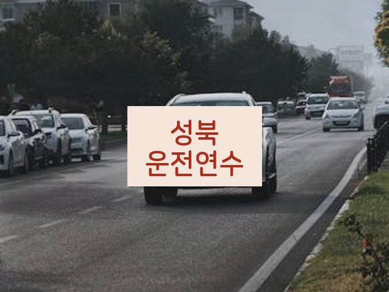 성북운전연수 후기