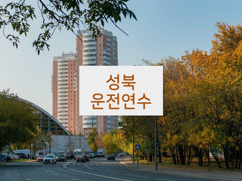 성북운전연수 후기