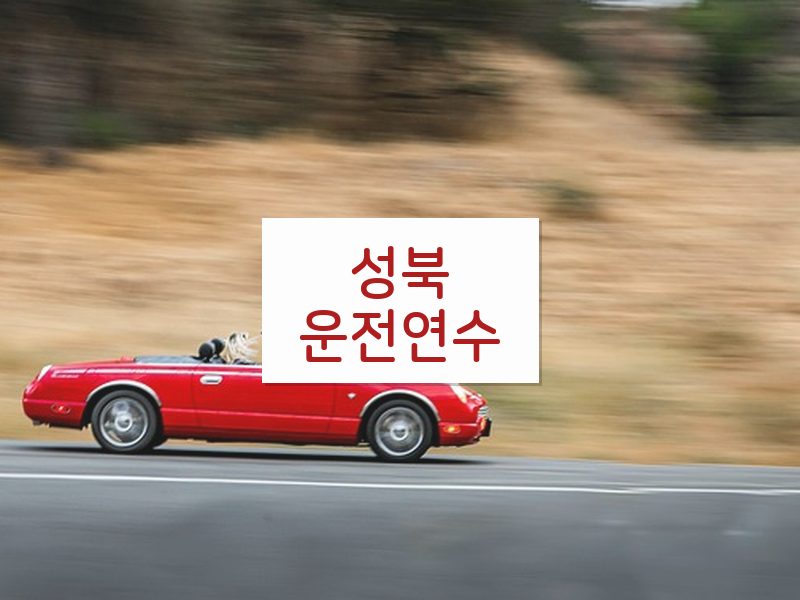 성북운전연수 후기