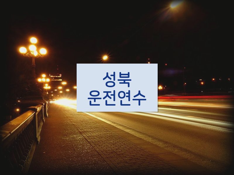 성북운전연수 후기