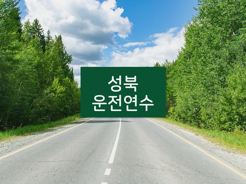 성북운전연수 후기