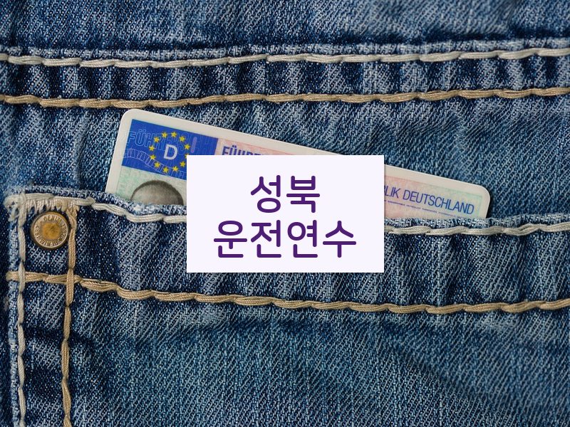 성북운전연수 후기