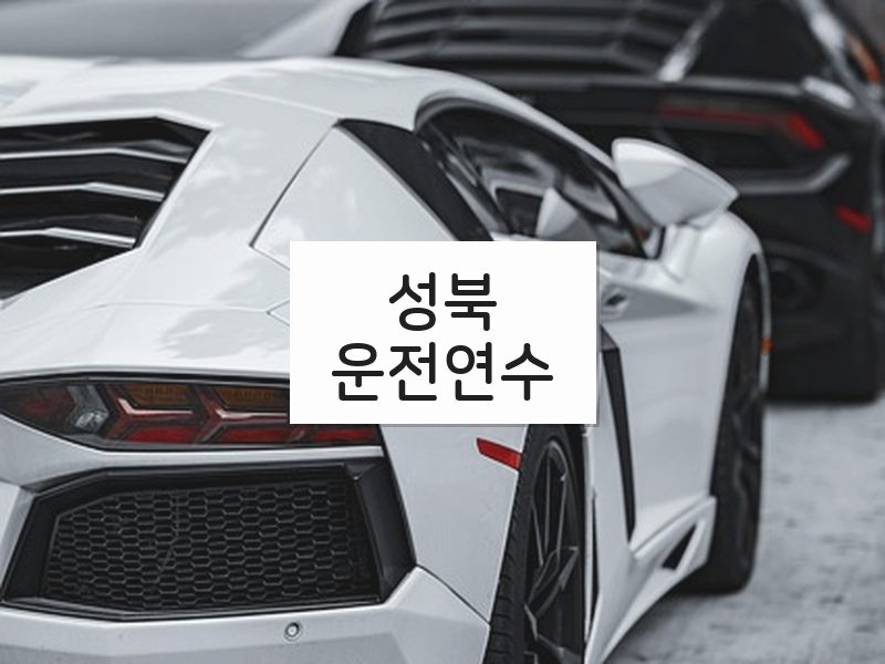성북운전연수 후기