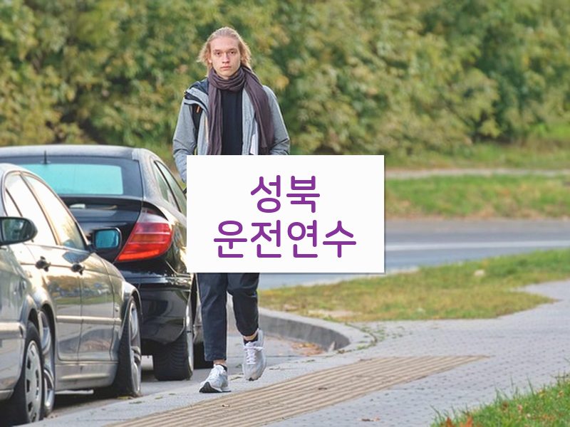 성북운전연수 후기