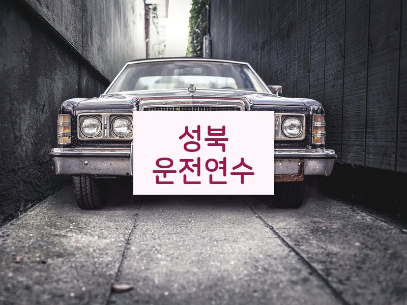 성북운전연수 후기