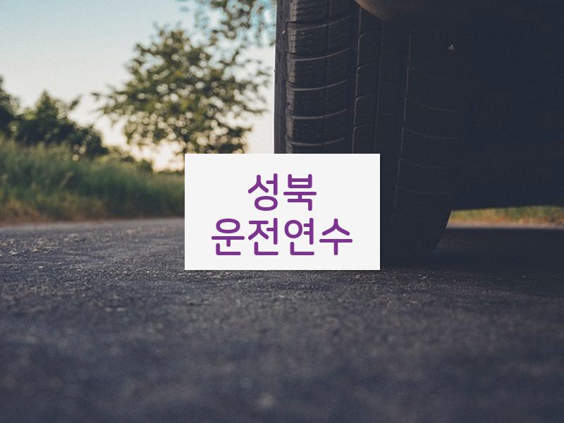 성북운전연수 후기