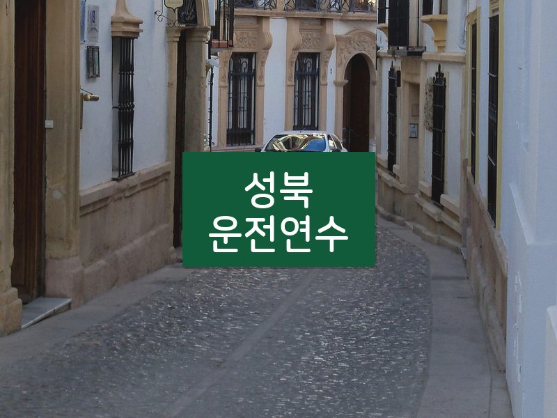 성북운전연수 후기
