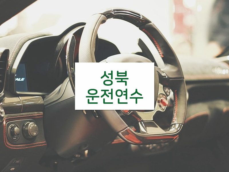 성북운전연수 후기