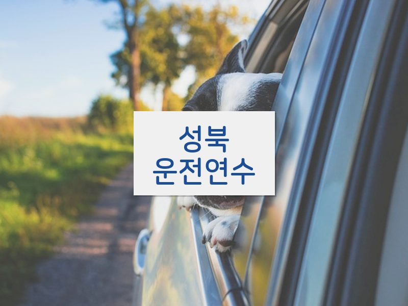 성북운전연수 후기