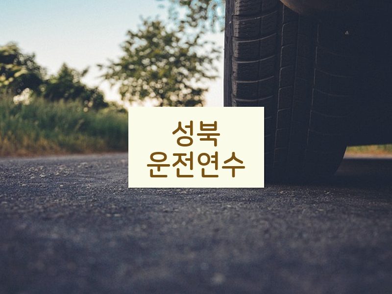 성북운전연수 후기