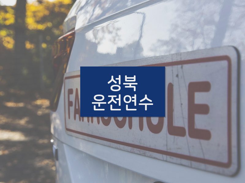 성북운전연수 후기