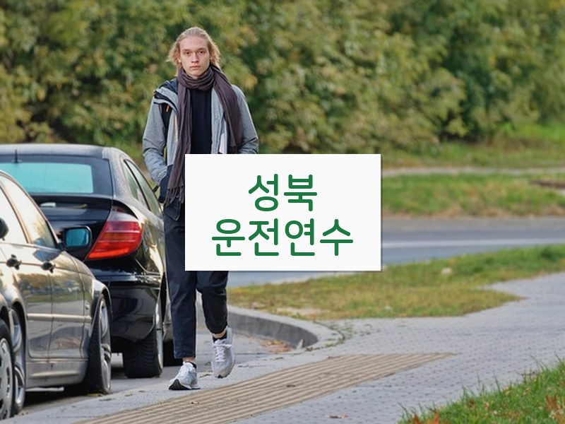 성북운전연수 후기