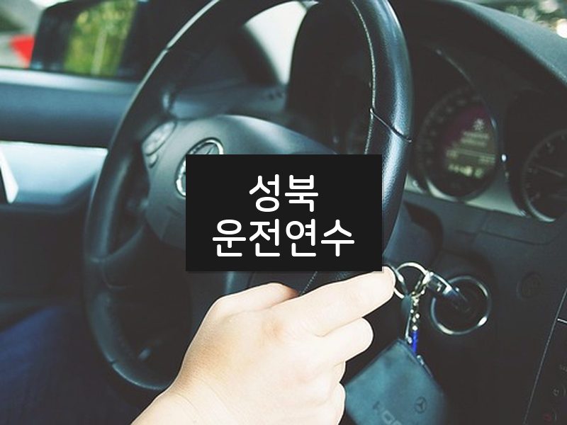 성북운전연수 후기