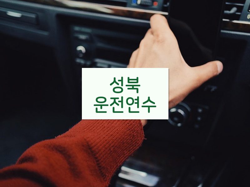 성북운전연수 후기