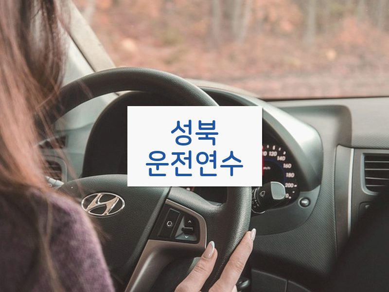 성북운전연수 후기