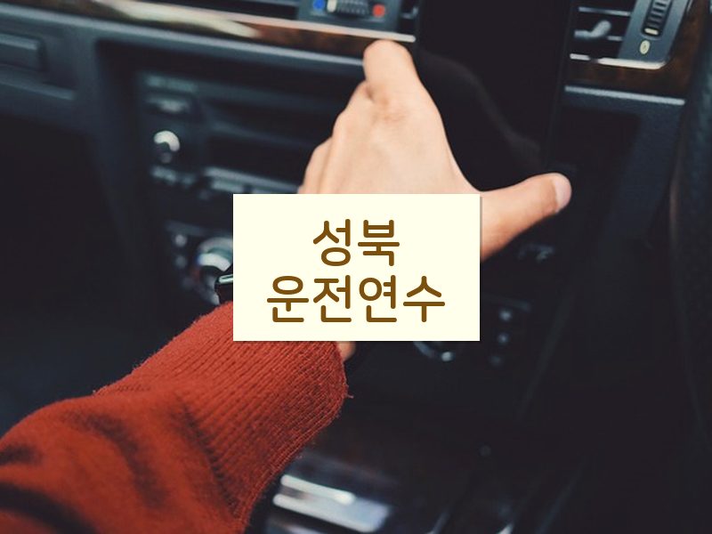 성북운전연수 후기