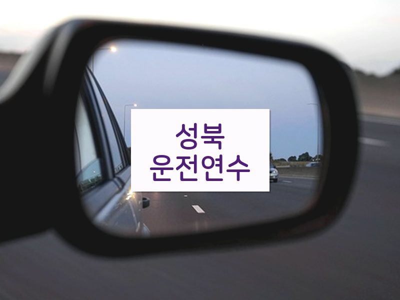 성북운전연수 후기