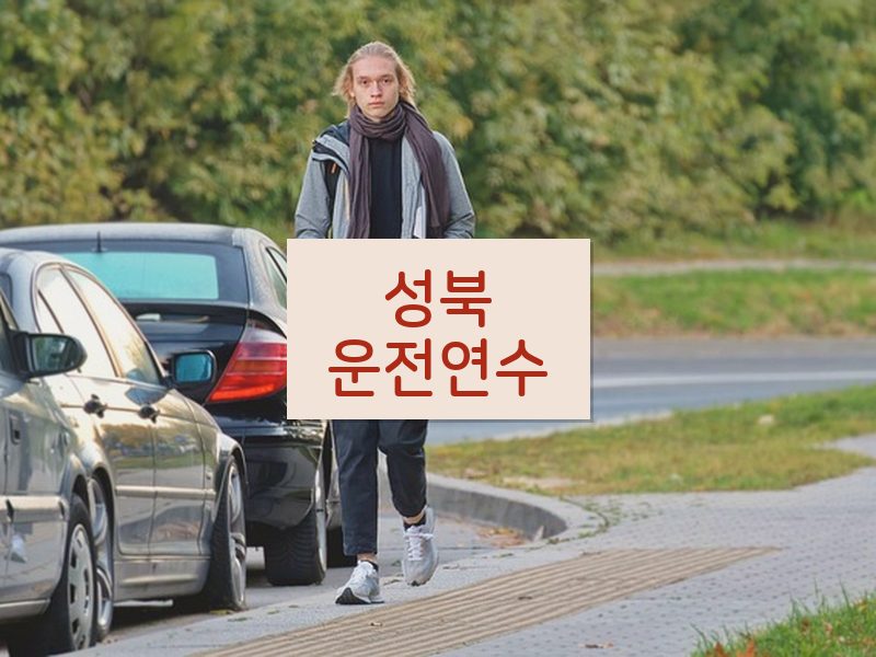 성북운전연수 후기