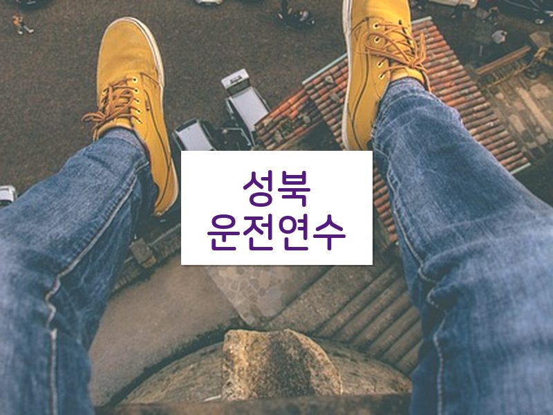 성북운전연수 후기