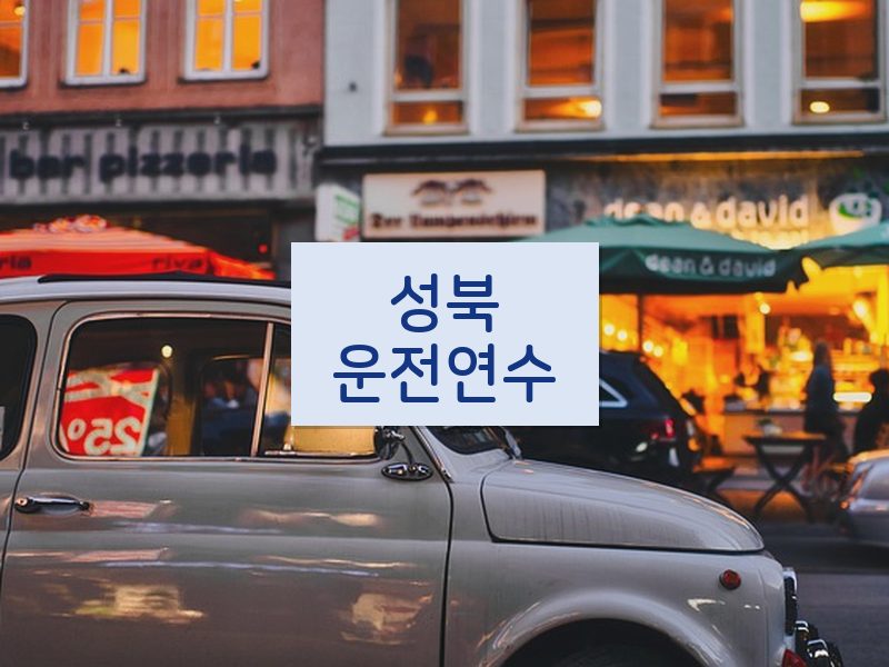 성북운전연수 후기