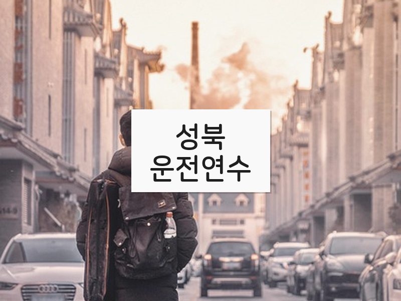 성북운전연수 후기