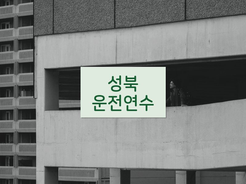 성북운전연수 후기