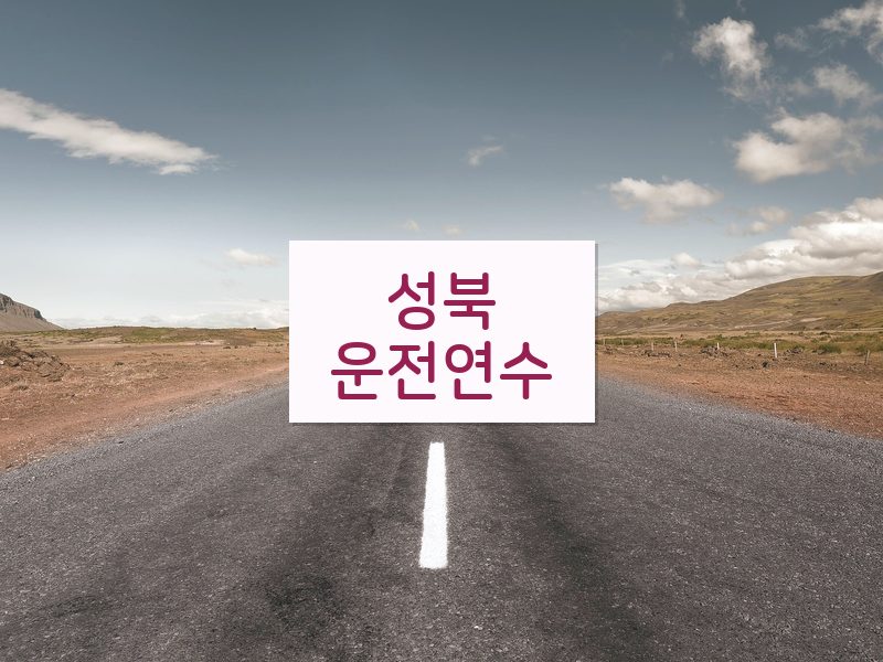 성북운전연수 후기