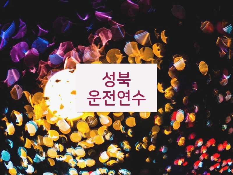 성북운전연수 후기
