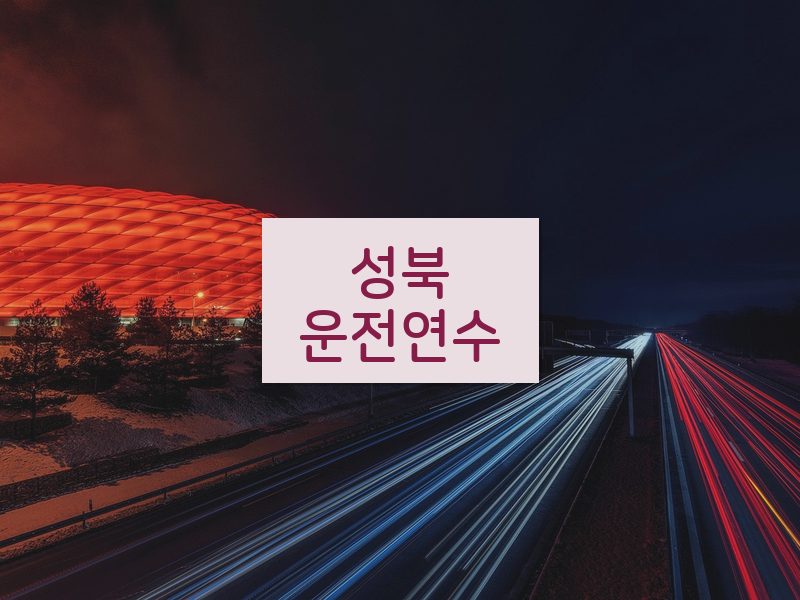 성북운전연수 후기
