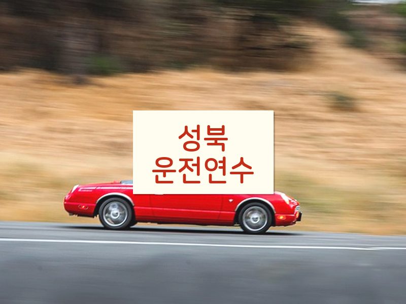 성북운전연수 후기