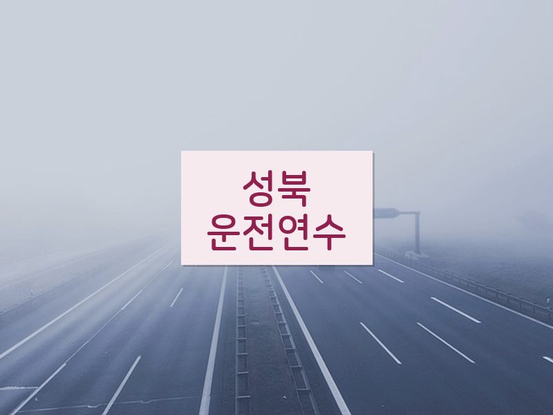 성북운전연수 후기
