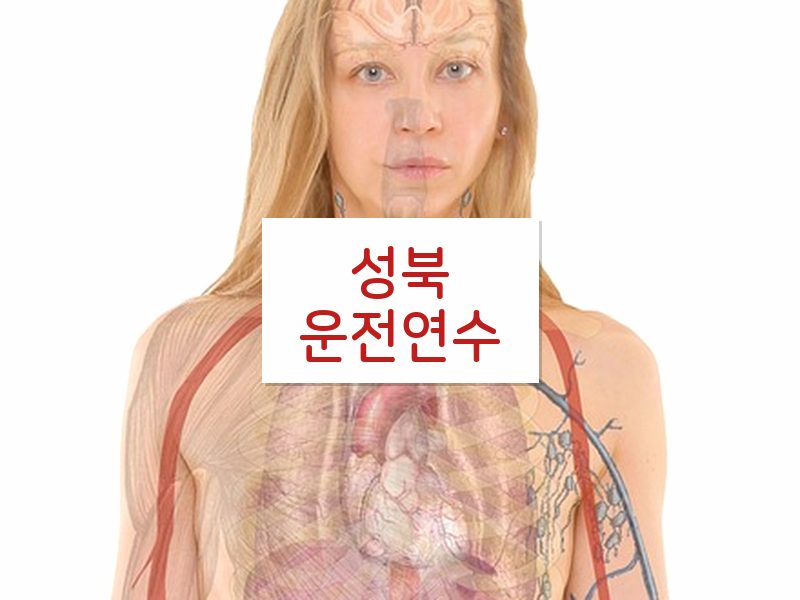 성북운전연수 후기