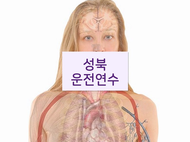 성북운전연수 후기