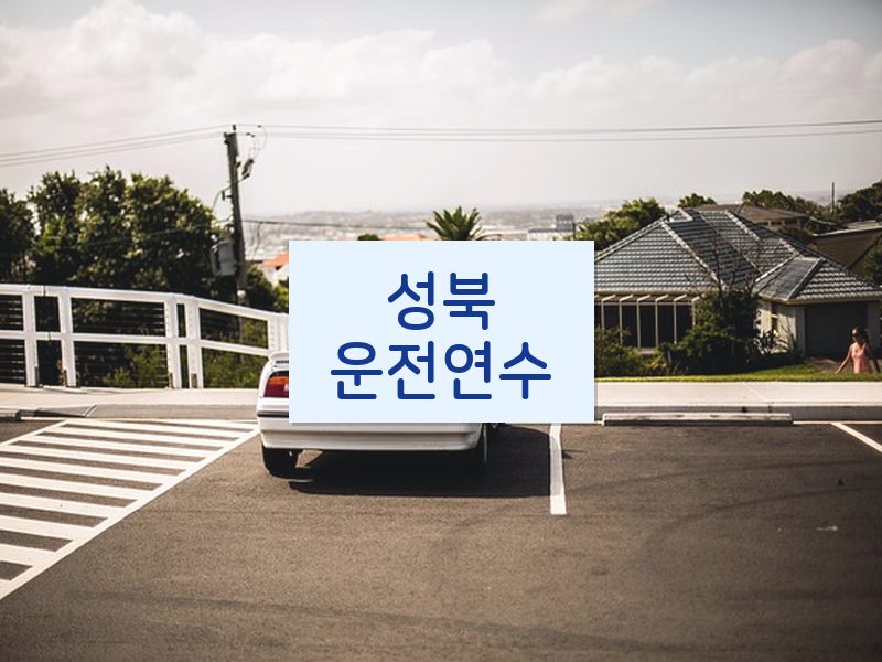 성북운전연수 후기
