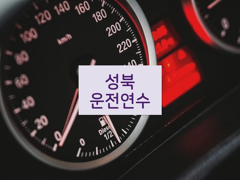 성북운전연수 후기