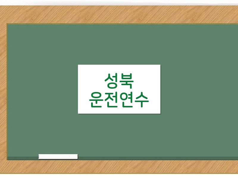 성북운전연수 후기