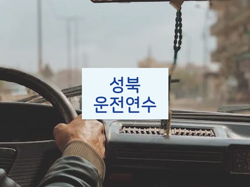 성북운전연수 후기