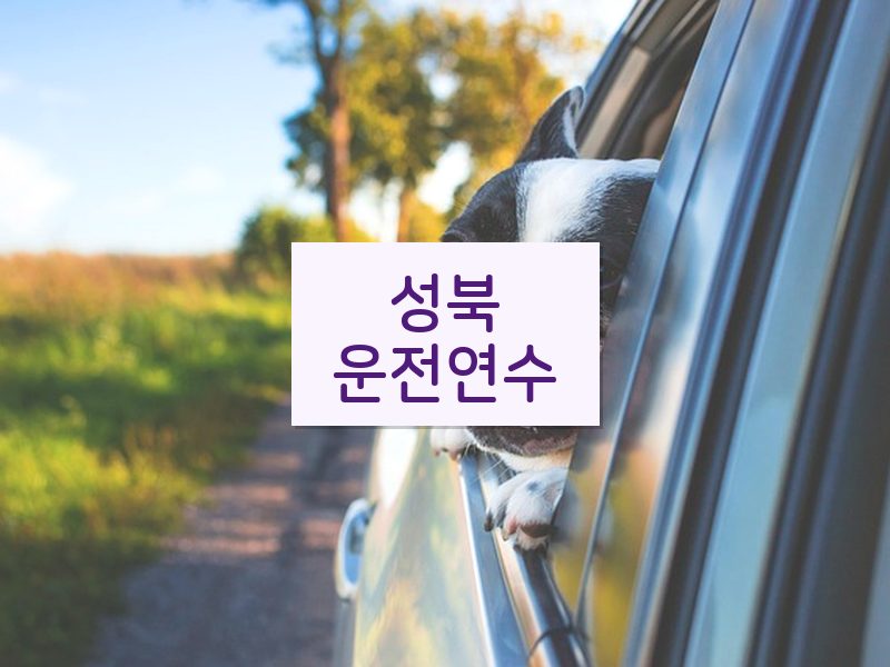 성북운전연수 후기