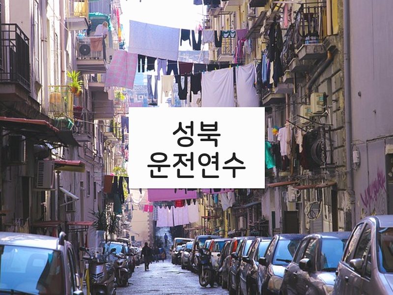성북운전연수 후기