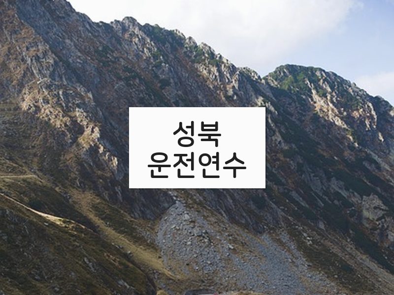 성북운전연수 후기