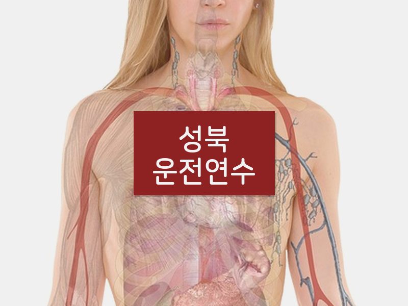 성북운전연수 후기