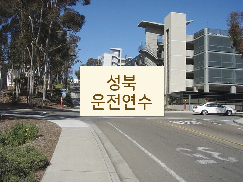 성북운전연수 후기