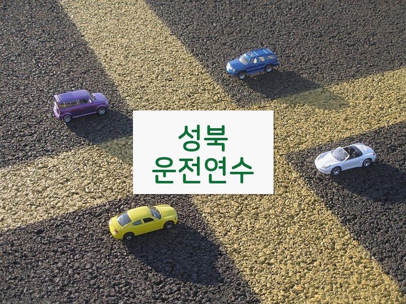 성북운전연수 후기