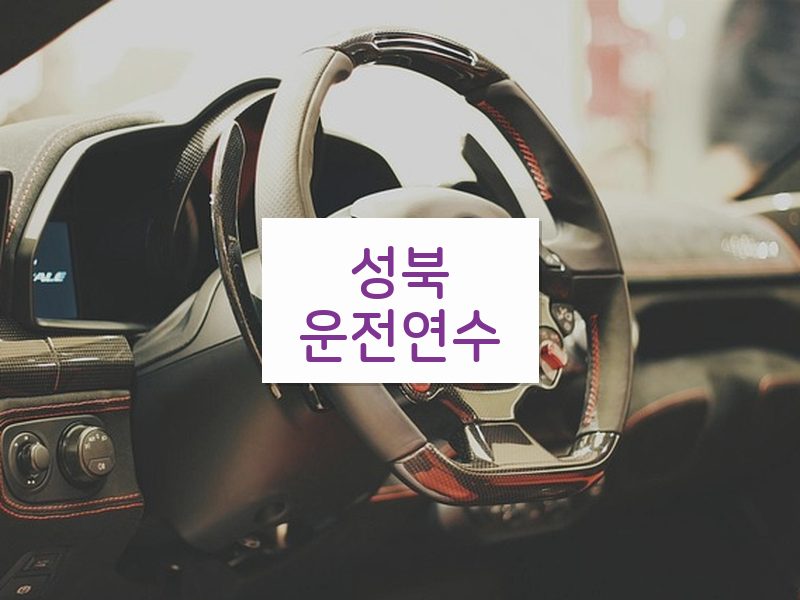 성북운전연수 후기
