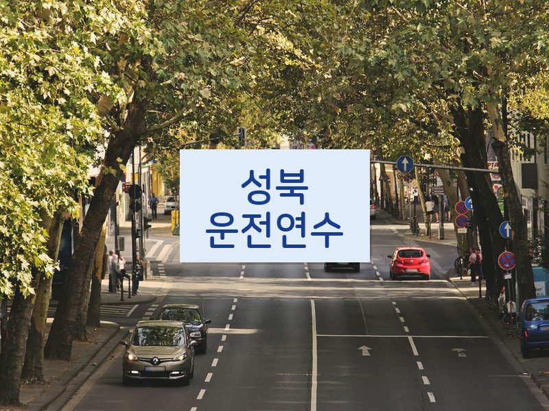 성북운전연수 후기
