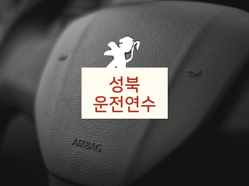 성북운전연수 후기