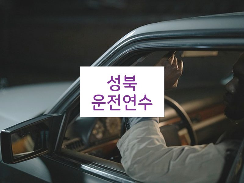 성북운전연수 후기