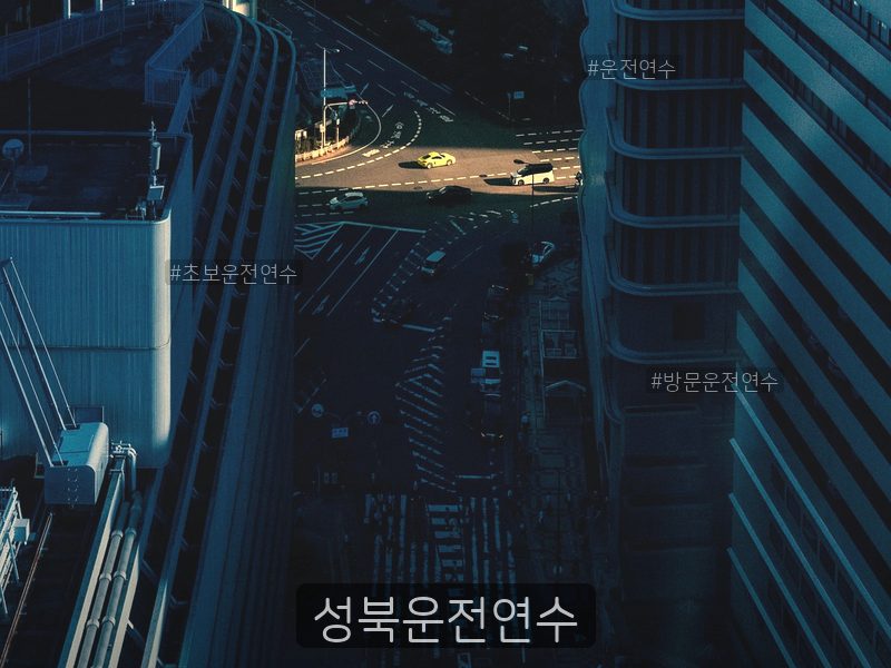 성북운전연수 후기